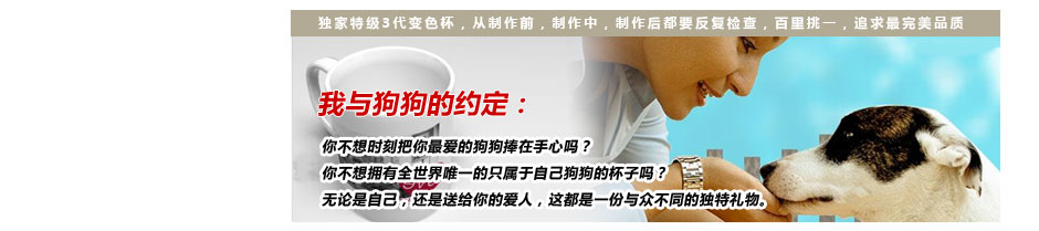 我与狗狗的约定